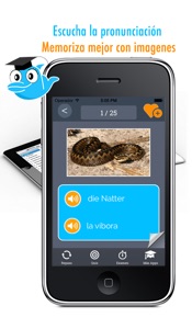 Learn German and Spanish Vocabulary: Memorize Words - Free screenshot #1 for iPhone