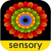 Sensory Coloco - Symmetry Painting and Visual Effects