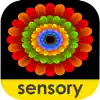 Sensory Coloco - Symmetry Painting and Visual Effects App Delete