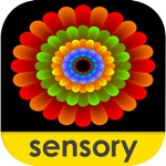 Download Sensory Coloco - Symmetry Painting and Visual Effects app
