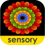 Sensory Coloco - Symmetry Painting and Visual Effects App Problems