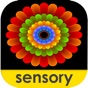 Sensory Coloco - Symmetry Painting and Visual Effects app download