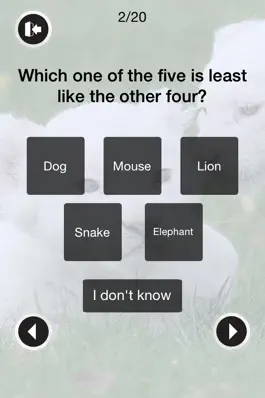 Game screenshot IQ Test 2014 hack