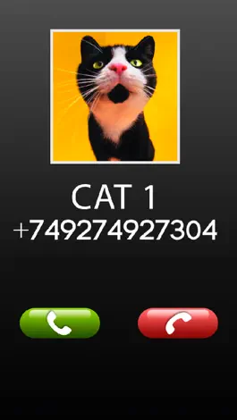 Game screenshot Fake Call Cat Prank hack