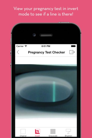 Pregnancy Test Checker screenshot 2