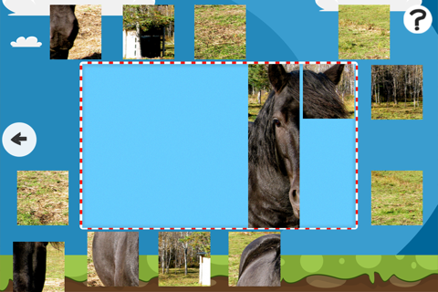 A Puzzle With Horses and Ponies - Free Interactive Game For Kids Learn Logical Thinking with Fun screenshot 3