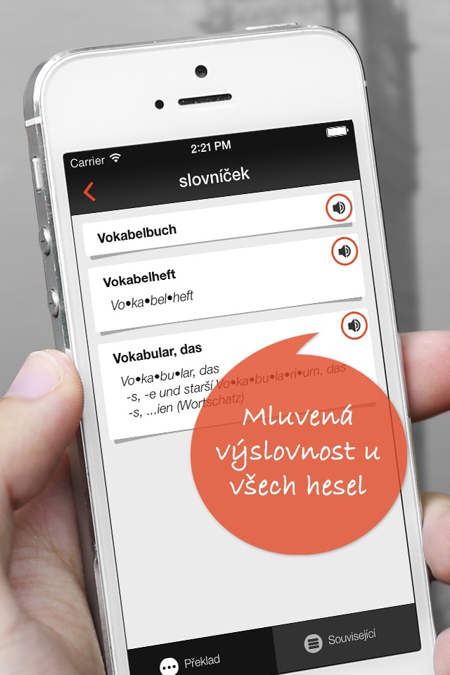Slovník do kapsy screenshot 3