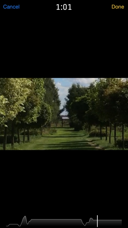 Video Zoom - Apply Zoom To Existing Videos, Crop