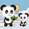 Panda Bear and Animal Coloring Book