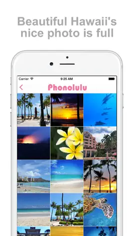 Game screenshot Phonolulu - Hawaii’s Photo Album App apk