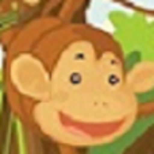 The Monkey Ninja Pro icon