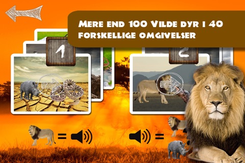 Sound Game Wildlife Photo screenshot 4