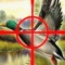 Aim & Shoot