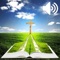 Listen to our Audio bible in Spanish i We have included many features to enhance your listening and study of the bible