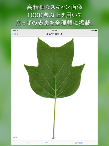 Screenshot #5 pour 葉っぱ図鑑 - Leaf Dictionary -
