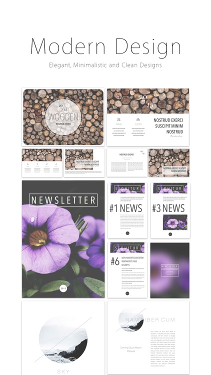 Templates for MS Word - S Edition