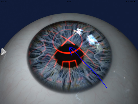 Screenshot #6 pour EyeDraw Lite