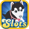 Ace's Cats and Dogs Dynasty Slots Casino HD - Fun Pets, Lucky Duck Free Machine