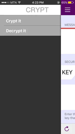*CRYPT screenshot 3