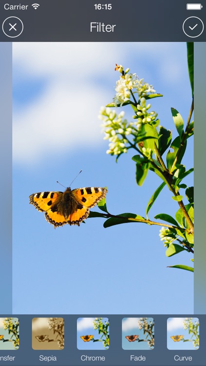 Picoli - easy photo and image editor screenshot-4