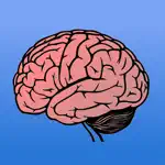 Memory Trainer Brain Challenge - Intellect Mind Experiment App Cancel