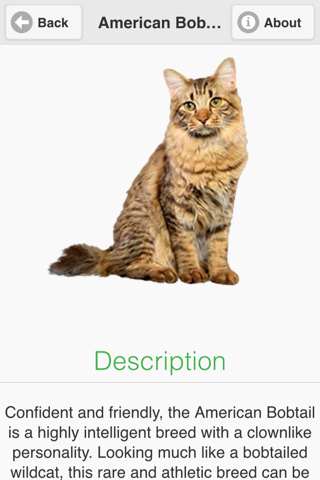 Cat Breeds Free screenshot 2