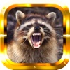 Raccoon Hunter Gold Pro