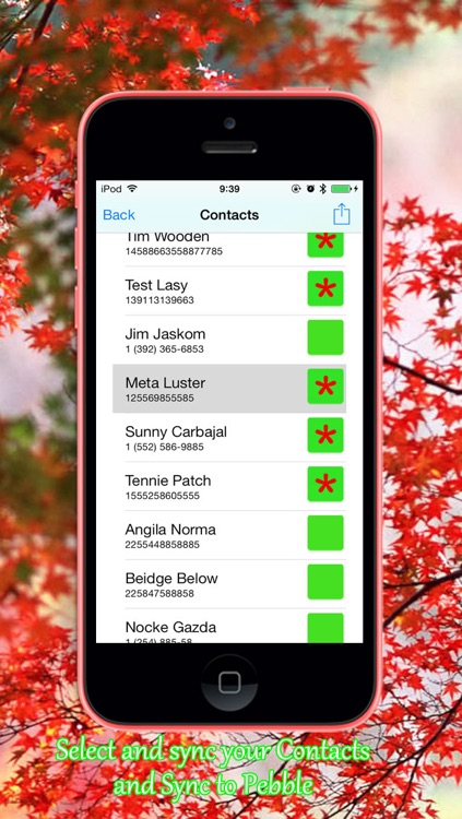 Contacts for Pebble Smartwatch