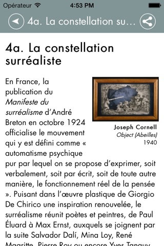 Exposition ‘’Joseph Cornell et les surréalistes à New York : Dalí, Duchamp, Ernst, Man Ray...’’ du 18 octobre 2013 au 10 février 2014 screenshot 3
