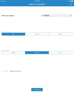 Salary Tax Calculator iPad image 1