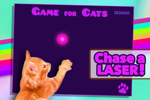 Game for Catsのおすすめ画像2