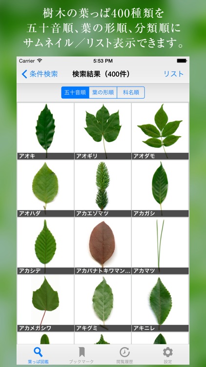 葉っぱ図鑑 Leaf Dictionary By Produce Media K K