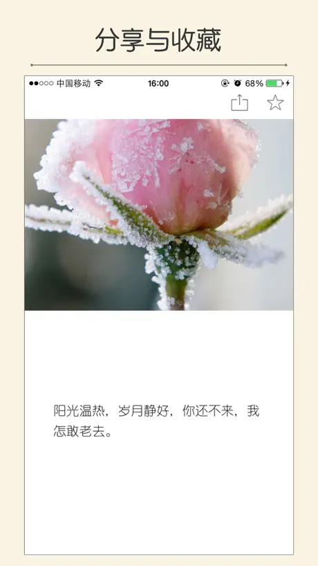 每日美文 - 每天都有触动心灵的文字