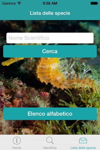 CLICK & fISH - Guida al riconoscimento dei pesci della Laguna di Venezia screenshot 3