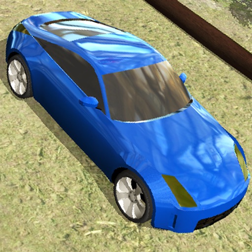 Auto Drive Car Parking Challenge Free Icon