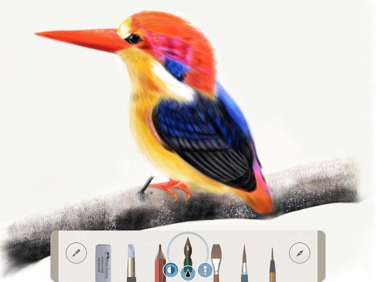 Pen & Ink: A Watercolor Notebook