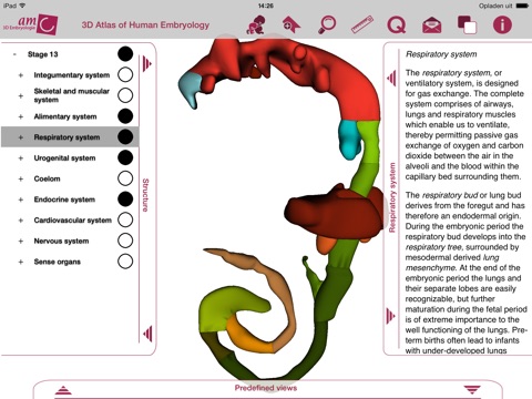 3D Atlas of Human Embryology - Lite screenshot 3