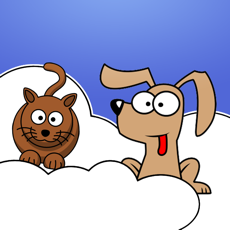 Activities of It's Raining Cats and Dogs