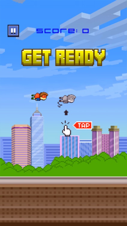 Smashy Man Bird - Super Splashy Hoppy Wings Flyer