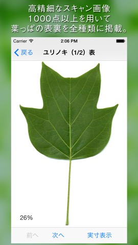 葉っぱ図鑑 - Leaf Dictionary -のおすすめ画像2