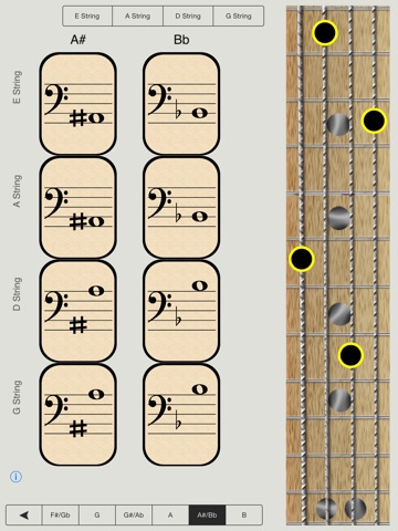 Bass Notes for Beginners - HD screenshot 3