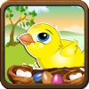 A Cute Chicken Story Catch the Eggs Game