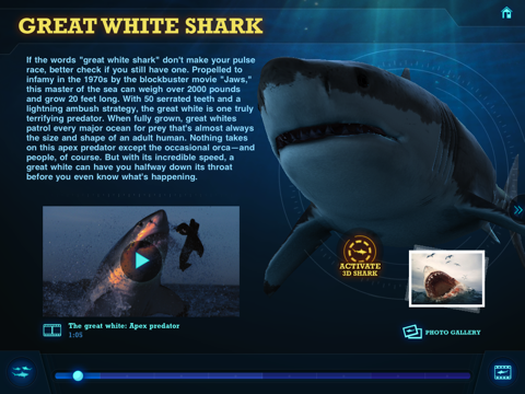 Ultimate Sharks Freeのおすすめ画像5