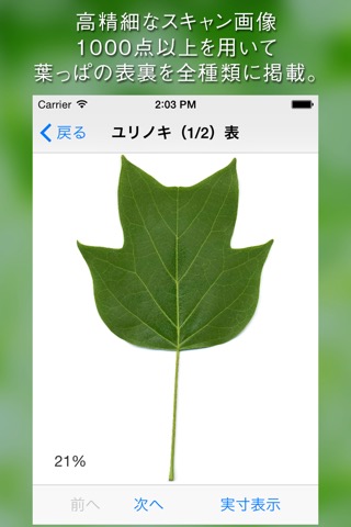 葉っぱ図鑑 - Leaf Dictionary -のおすすめ画像2