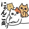 Cat Stack!!　ねこねこにゃんこ盛り　