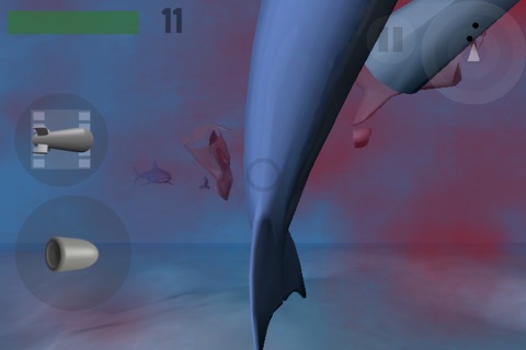 Shark Shock - Survive the hungry sharks! screenshot 4
