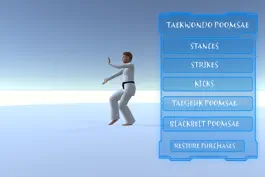Game screenshot Taekwondo Poomsae apk