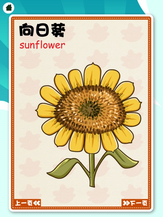 米卡翻翻学动物