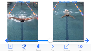 Swim Coach Plus screenshot1