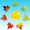 Nutty Leaf